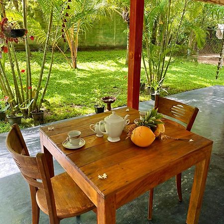 Jasmin Homestay Marakolliya Тангалле Екстер'єр фото