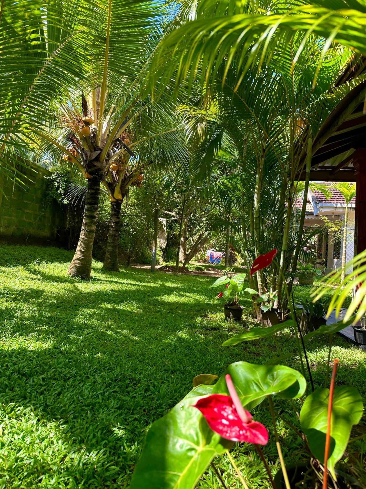 Jasmin Homestay Marakolliya Тангалле Екстер'єр фото
