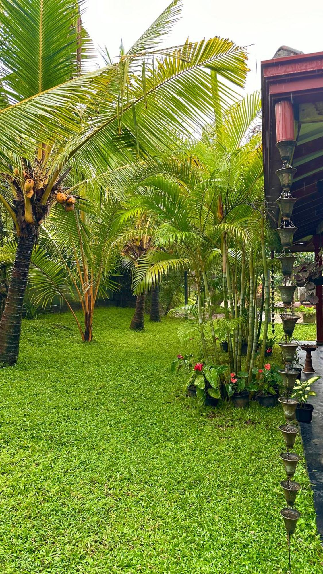 Jasmin Homestay Marakolliya Тангалле Екстер'єр фото